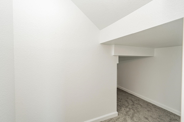 interior space with light colored carpet