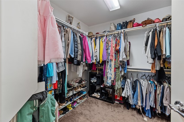 walk in closet with carpet floors