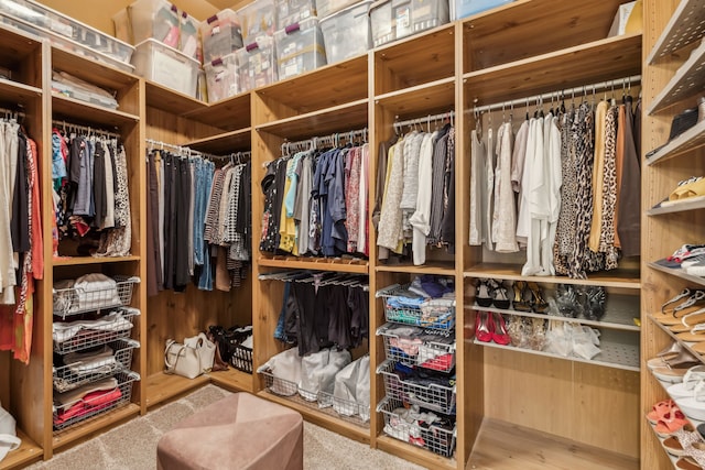 spacious closet featuring carpet flooring