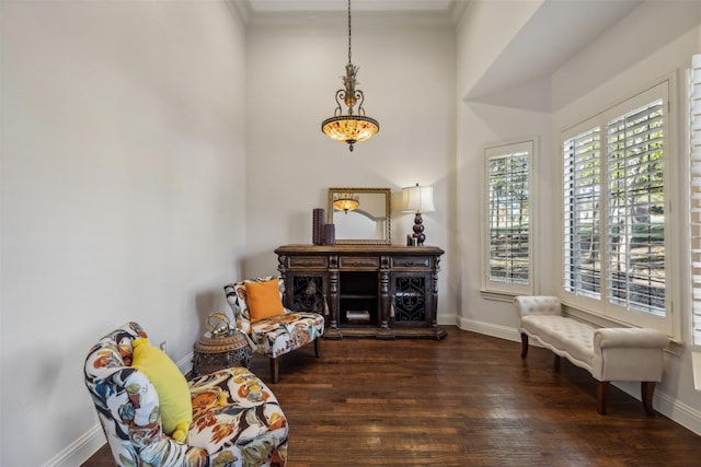 sitting room featuring dark hardwood / wood-style flooring and crown molding