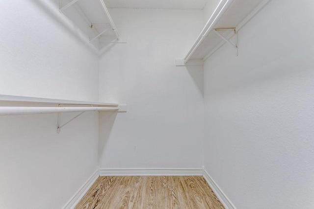 spacious closet with light hardwood / wood-style flooring