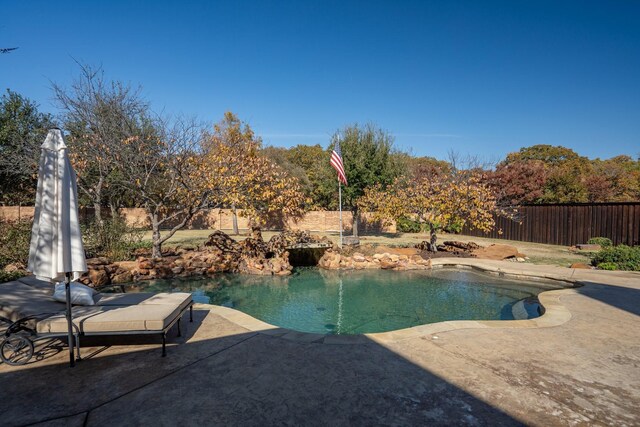 view of pool featuring a patio