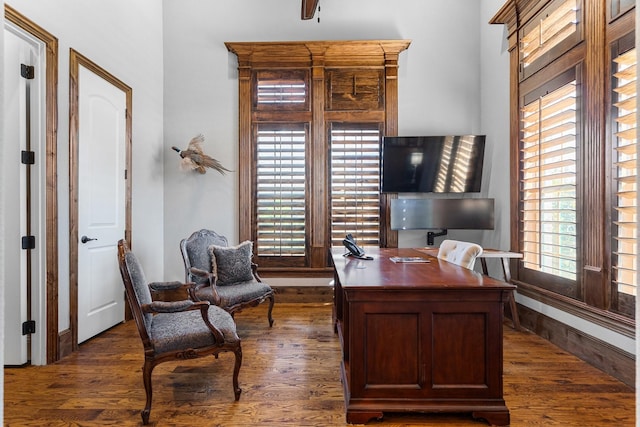 office space with dark hardwood / wood-style flooring