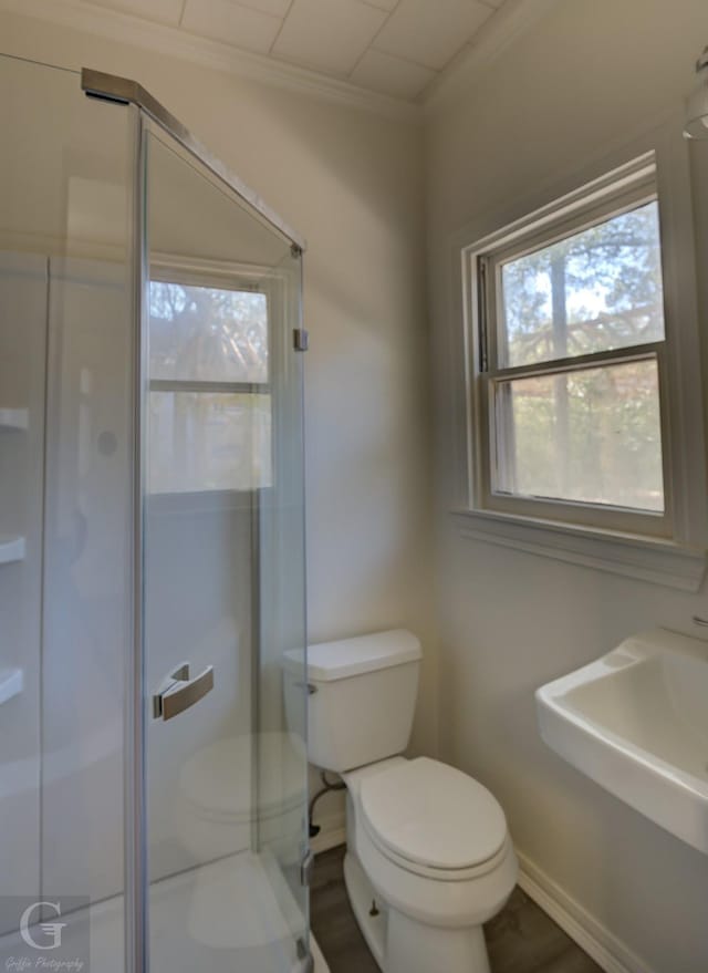 bathroom with an enclosed shower, crown molding, and toilet