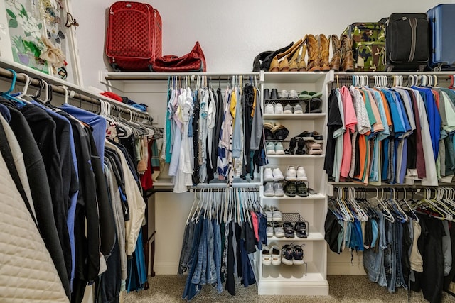 spacious closet featuring carpet floors