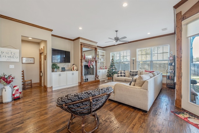 living room with crown molding, ceiling fan, and dark wood-type flooring