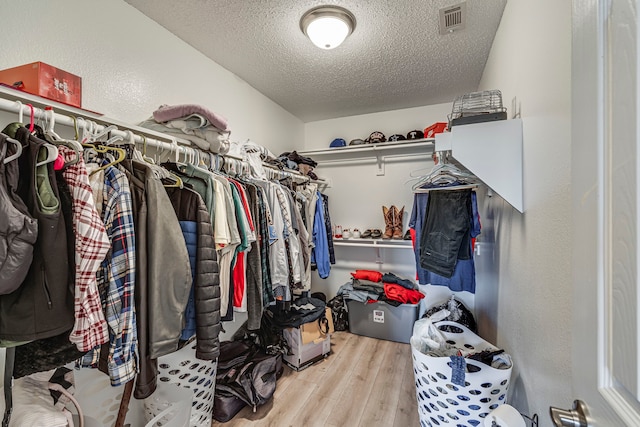 spacious closet with light wood-type flooring