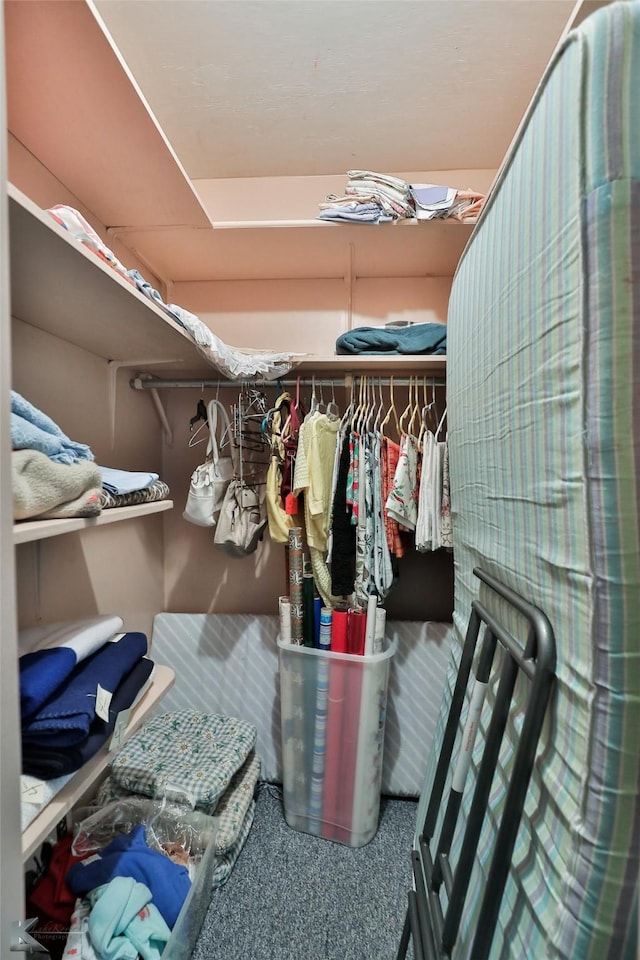 spacious closet with carpet floors