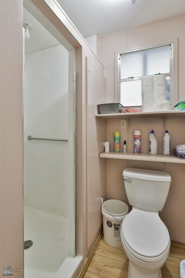 bathroom with hardwood / wood-style flooring and toilet