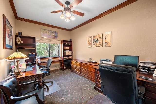 carpeted home office featuring ceiling fan and ornamental molding