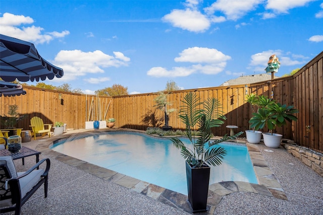 view of swimming pool with a fenced in pool, a patio area, and a fenced backyard