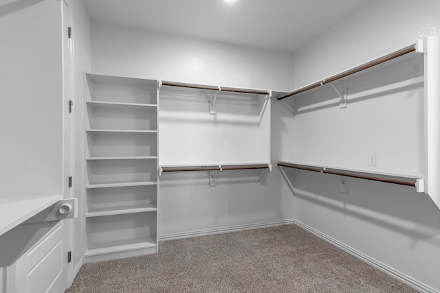 walk in closet featuring carpet flooring