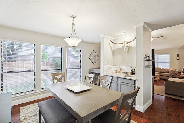 dining area with dark hardwood / wood-style flooring, sink, and plenty of natural light