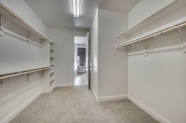 walk in closet with light carpet