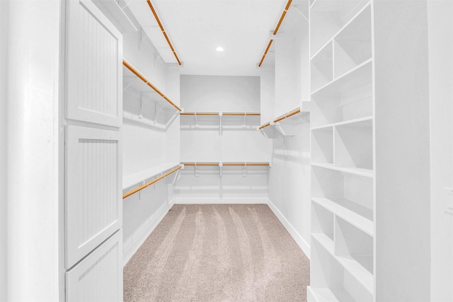 spacious closet with light colored carpet