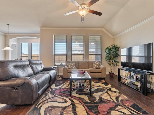 living room with dark hardwood / wood-style flooring, vaulted ceiling, plenty of natural light, and crown molding