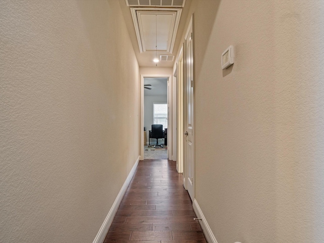 hallway with dark hardwood / wood-style floors