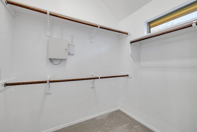 spacious closet with carpet and vaulted ceiling