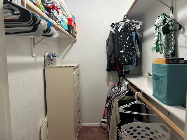 view of spacious closet