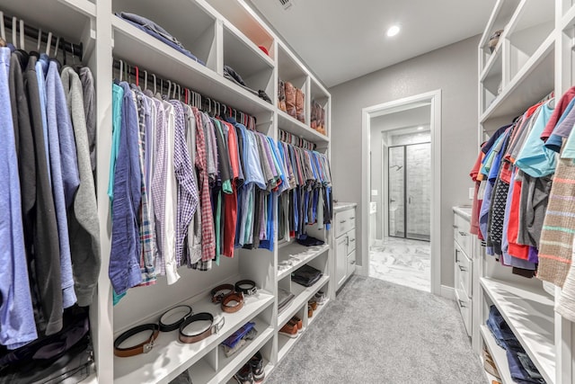 walk in closet with light carpet