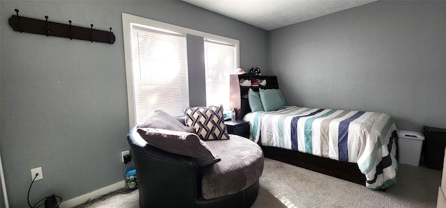 bedroom with carpet floors