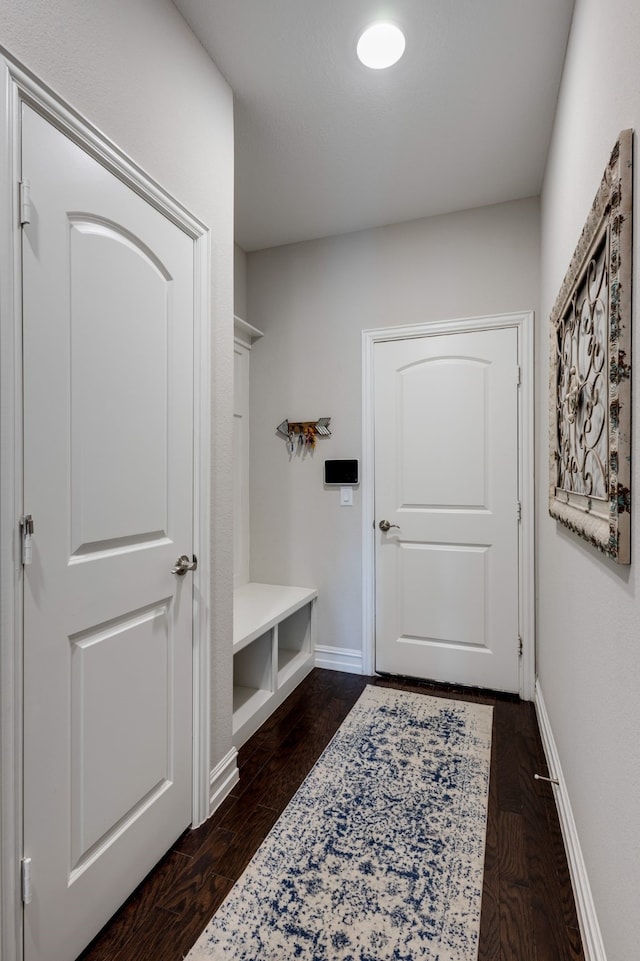 mudroom featuring dark hardwood / wood-style floors