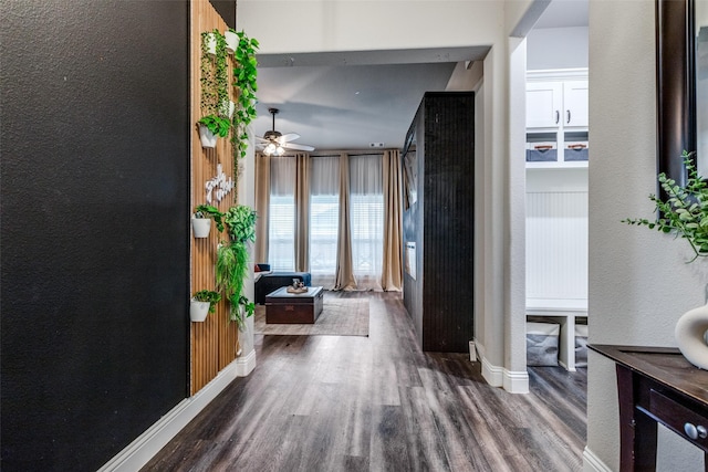 interior space with dark hardwood / wood-style floors