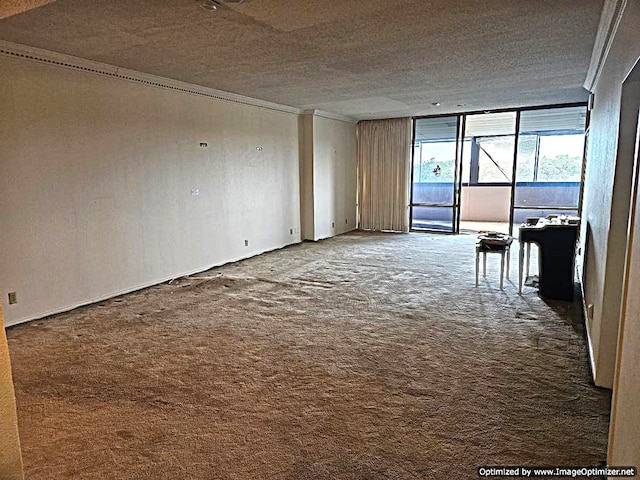 spare room featuring carpet and ornamental molding