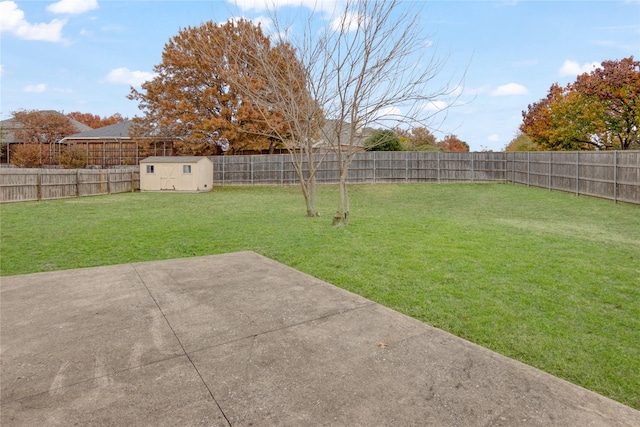 view of yard with a patio and a storage shed