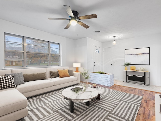 living room with ceiling fan and hardwood / wood-style floors