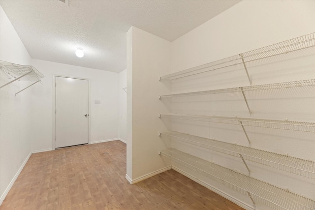 spacious closet featuring wood-type flooring