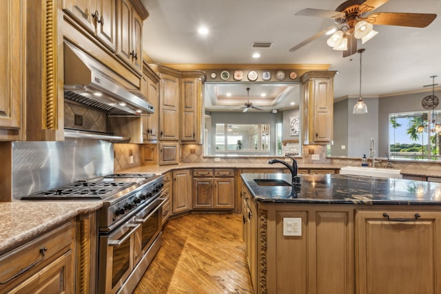 kitchen featuring plenty of natural light, light hardwood / wood-style floors, double oven range, and ornamental molding