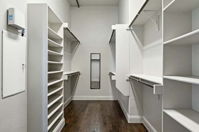 walk in closet with dark hardwood / wood-style flooring