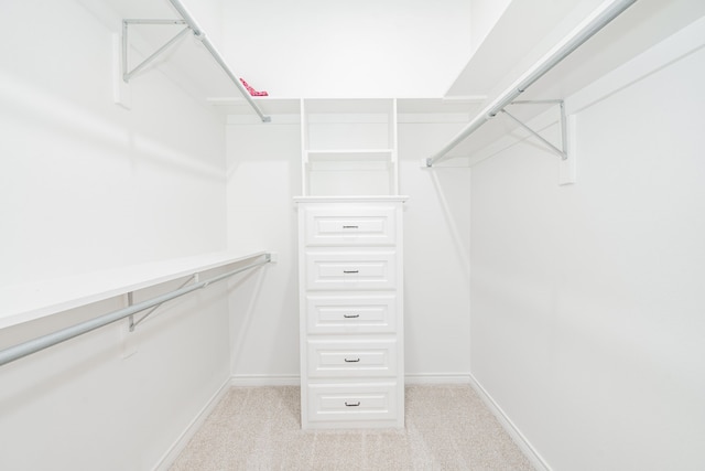 spacious closet with light colored carpet