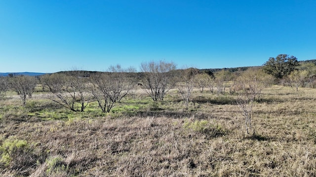 TBDLOT23 Brazos Valley Rd, Mineral Wells, TX 76068