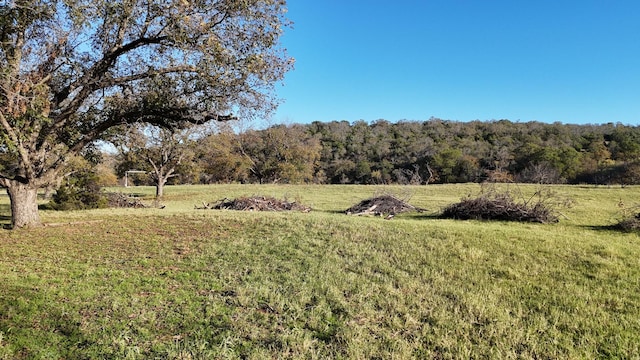TBDLOT23 Brazos Valley Rd, Mineral Wells, TX 76068
