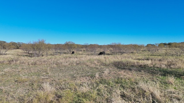 TBDLOT23 Brazos Valley Rd, Mineral Wells, TX 76068