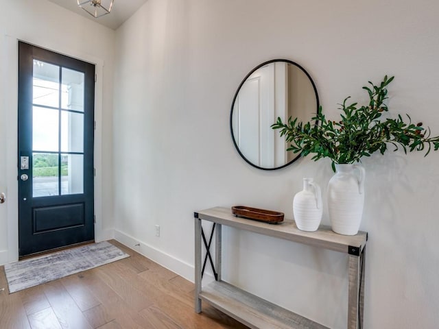 foyer entrance with light hardwood / wood-style floors