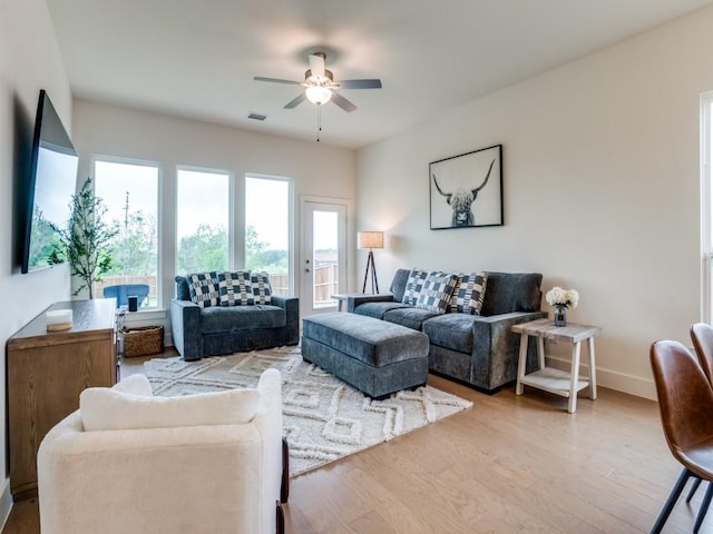 living room featuring ceiling fan and light hardwood / wood-style flooring