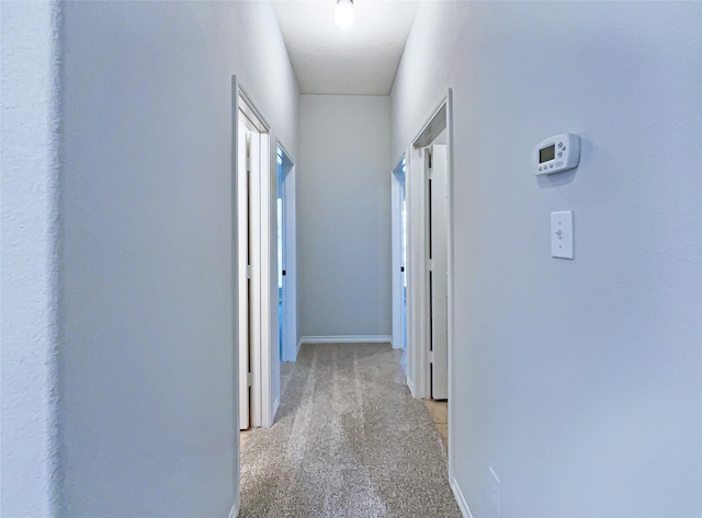 corridor featuring light colored carpet