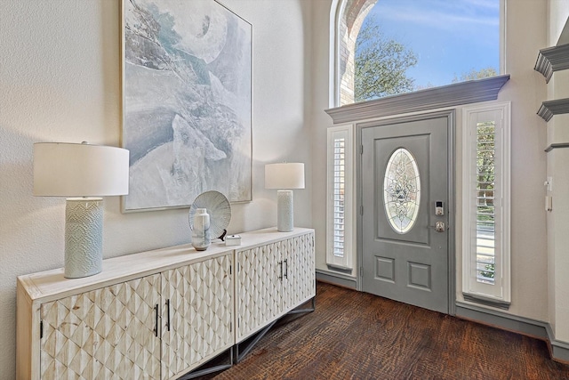 entryway featuring dark wood-type flooring