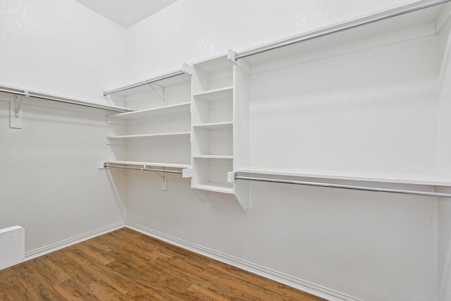 walk in closet featuring hardwood / wood-style floors