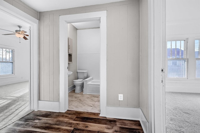 corridor featuring dark hardwood / wood-style floors, a wealth of natural light, and wooden walls