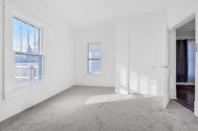 spare room with crown molding and carpet