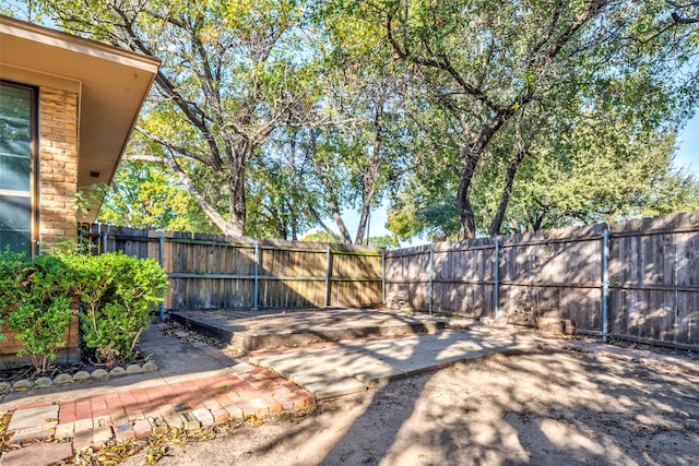 view of yard featuring a patio