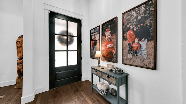 entryway featuring plenty of natural light and dark wood-type flooring