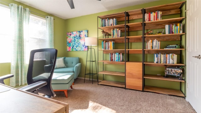 sitting room with carpet flooring