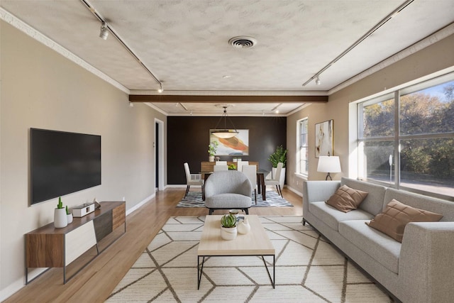 living room with rail lighting, ornamental molding, and light wood-type flooring