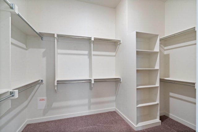 spacious closet featuring carpet floors