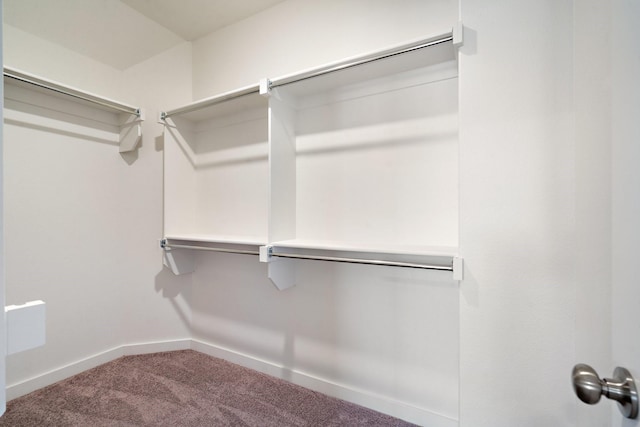 walk in closet featuring carpet flooring